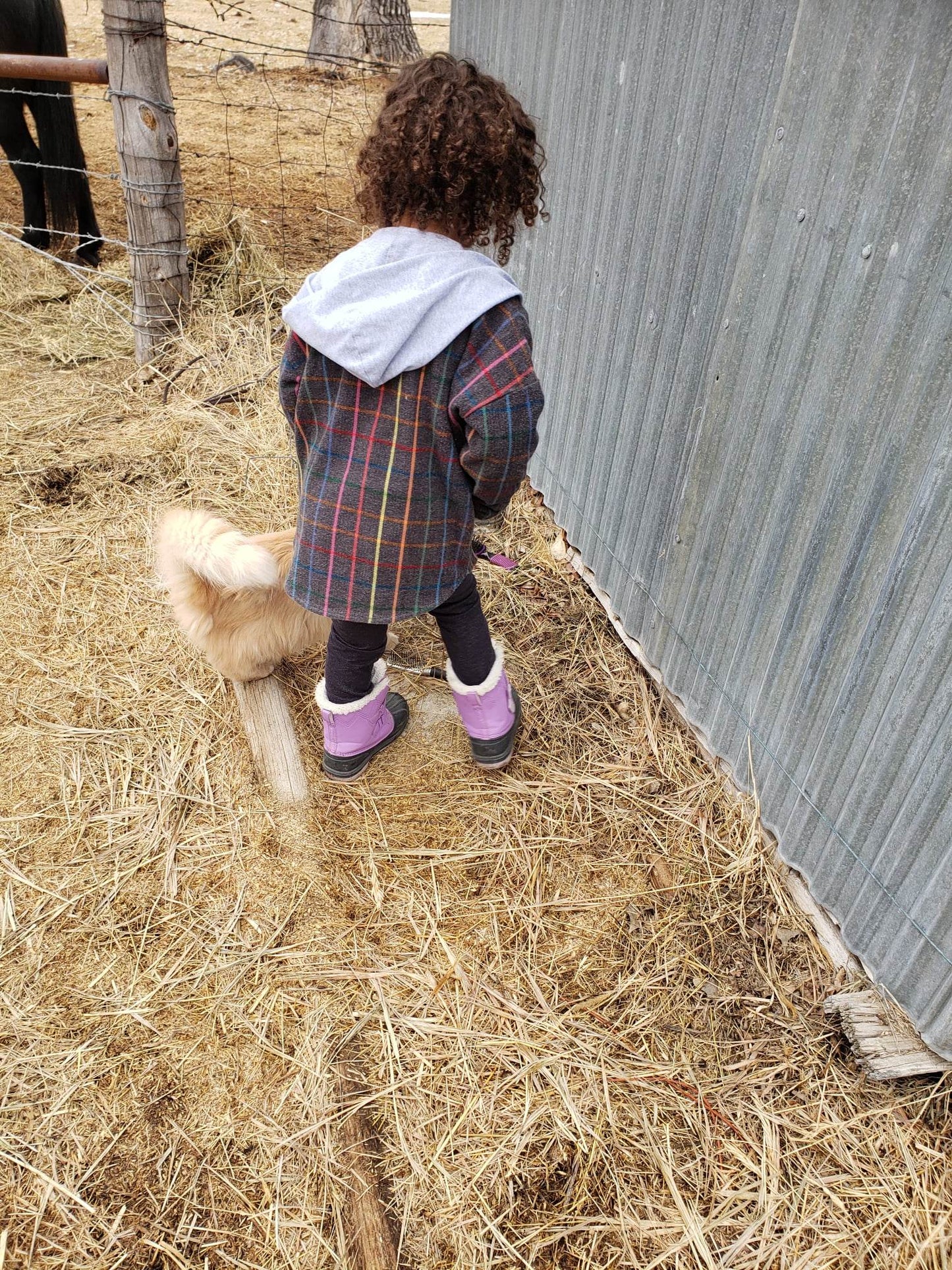 Rainbow Plaid Shacket